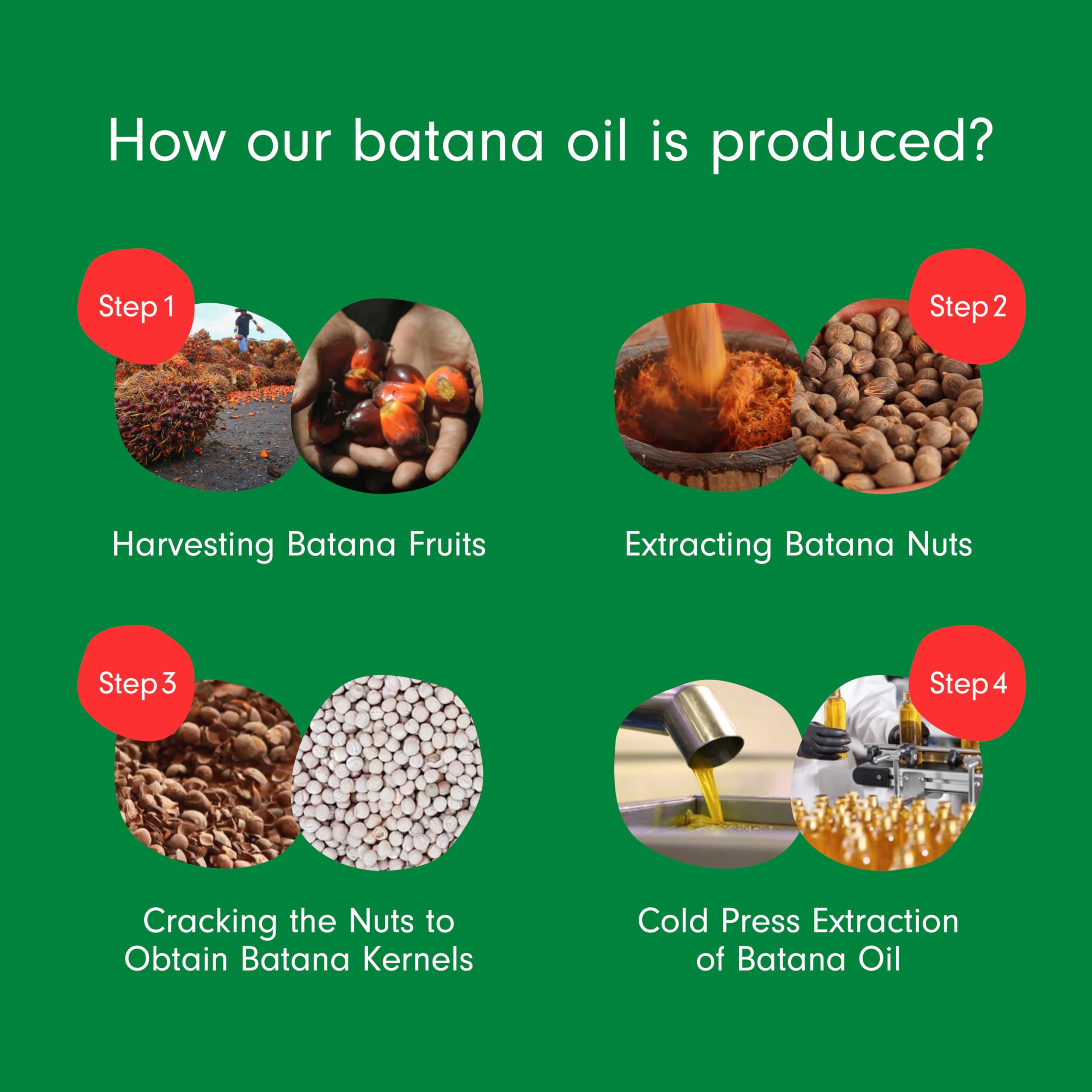 Dersie Batana Oil, parte de una rutina capilar para cabello suave y manejable.