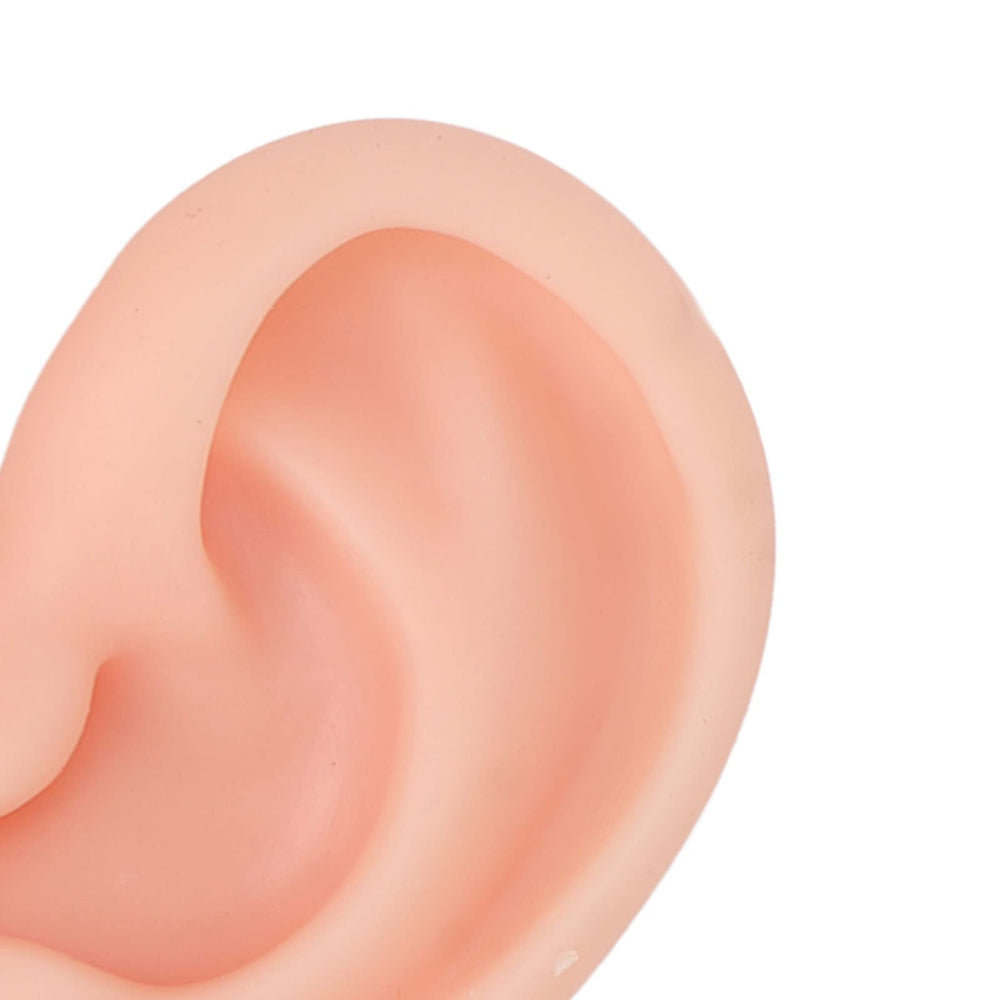 Dioche aretes display oreja silicona para presentación de joyería