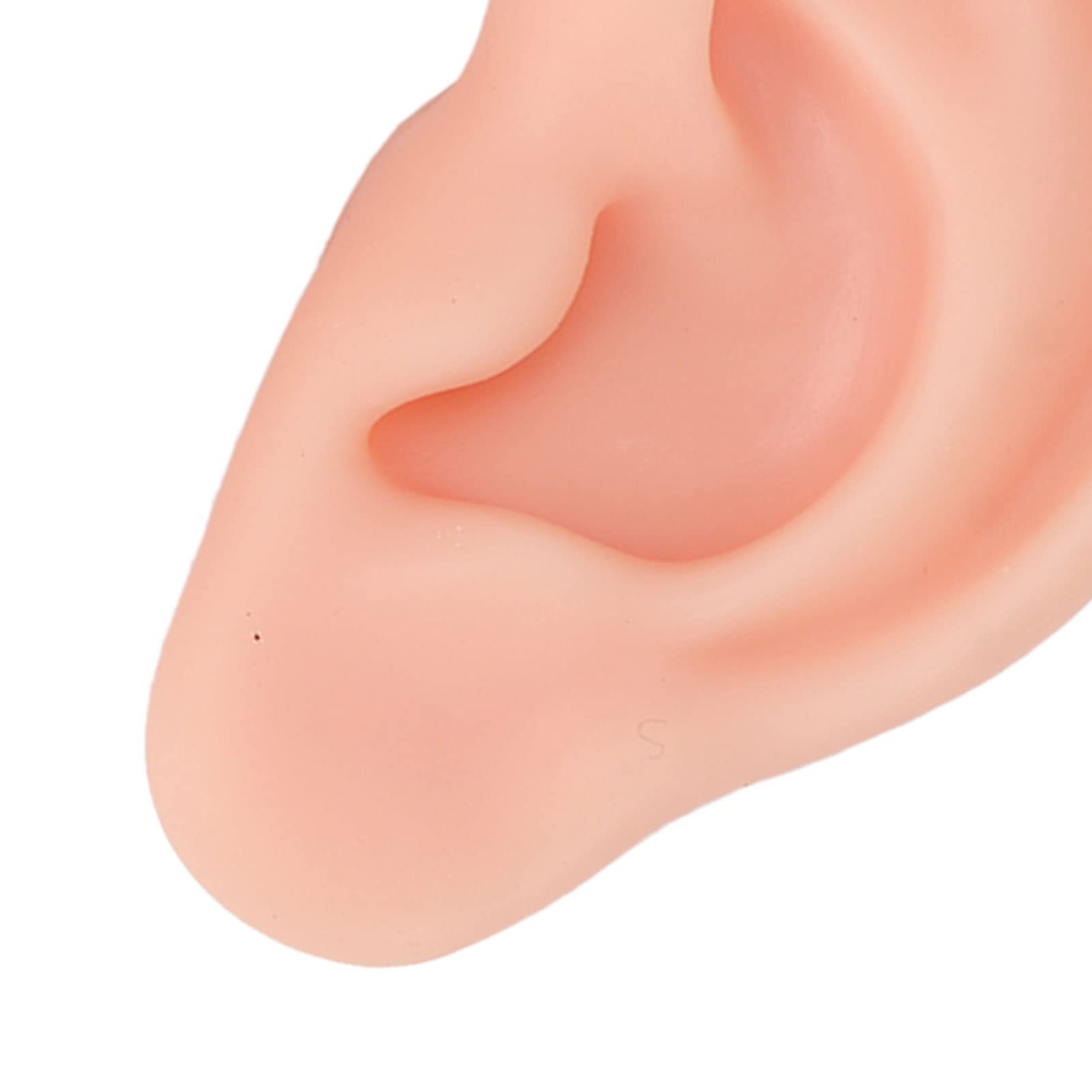 Dioche modelo educativo de oreja silicona para cursos