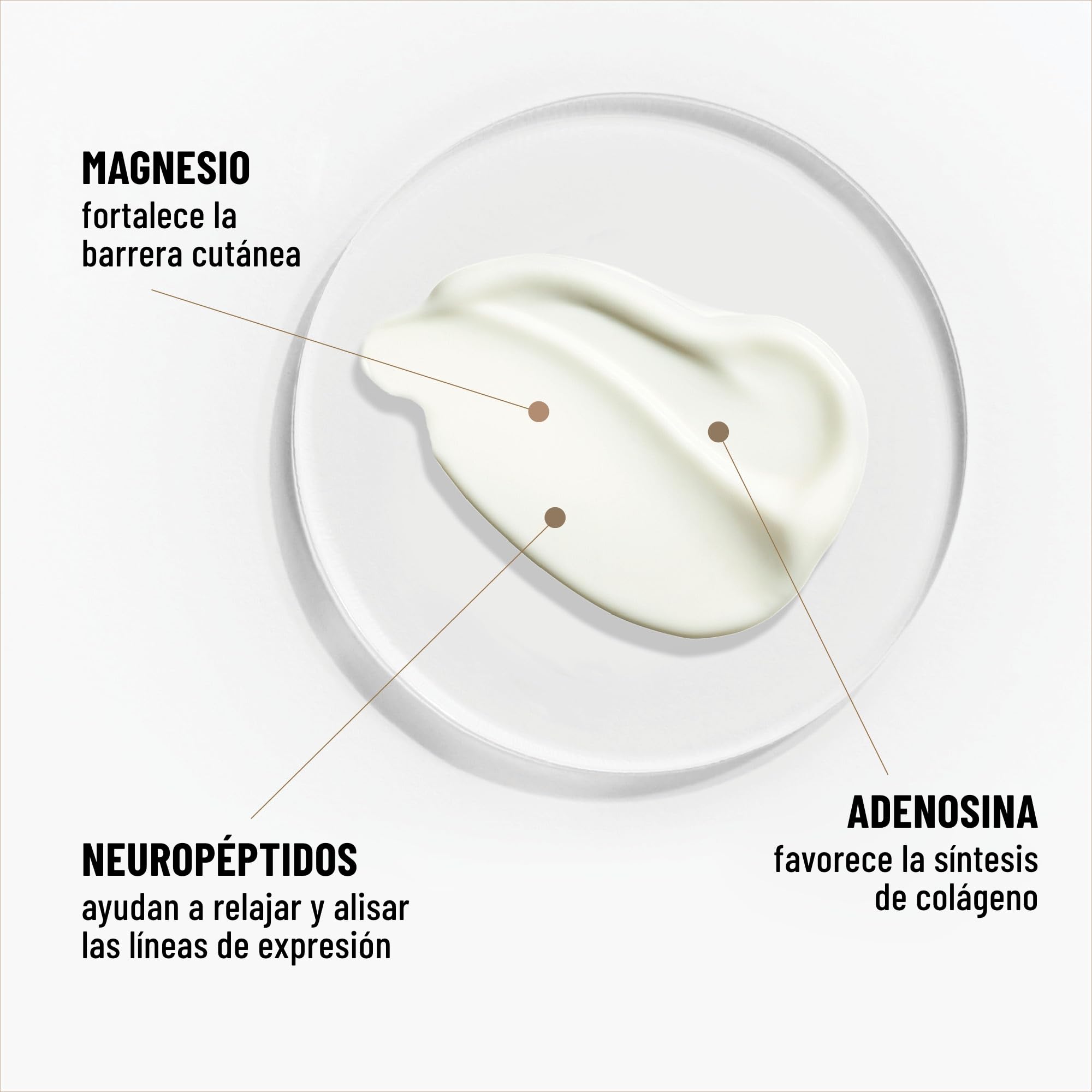Dr. Brandt crema alisadora de arrugas gracias al magnesio fortalece la barrera cutánea