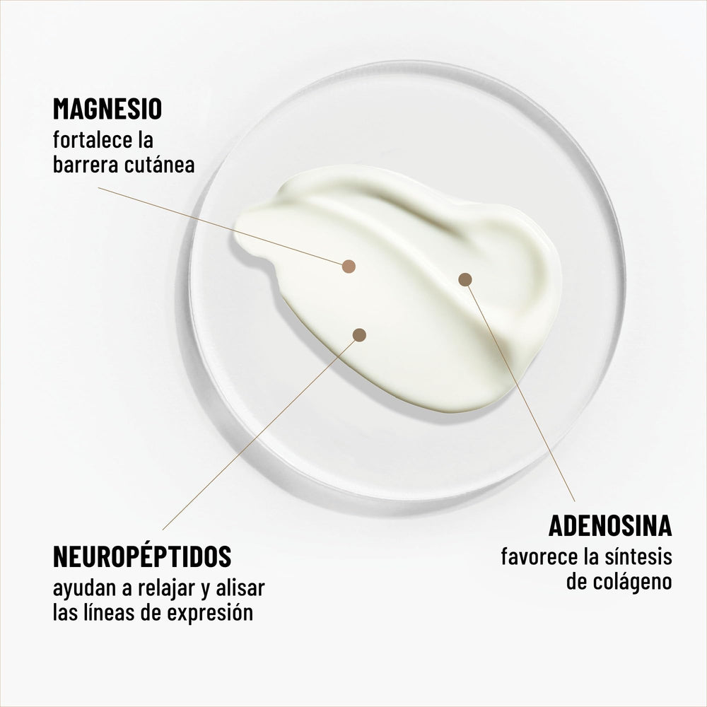 Dr. Brandt crema alisadora de arrugas gracias al magnesio fortalece la barrera cutánea