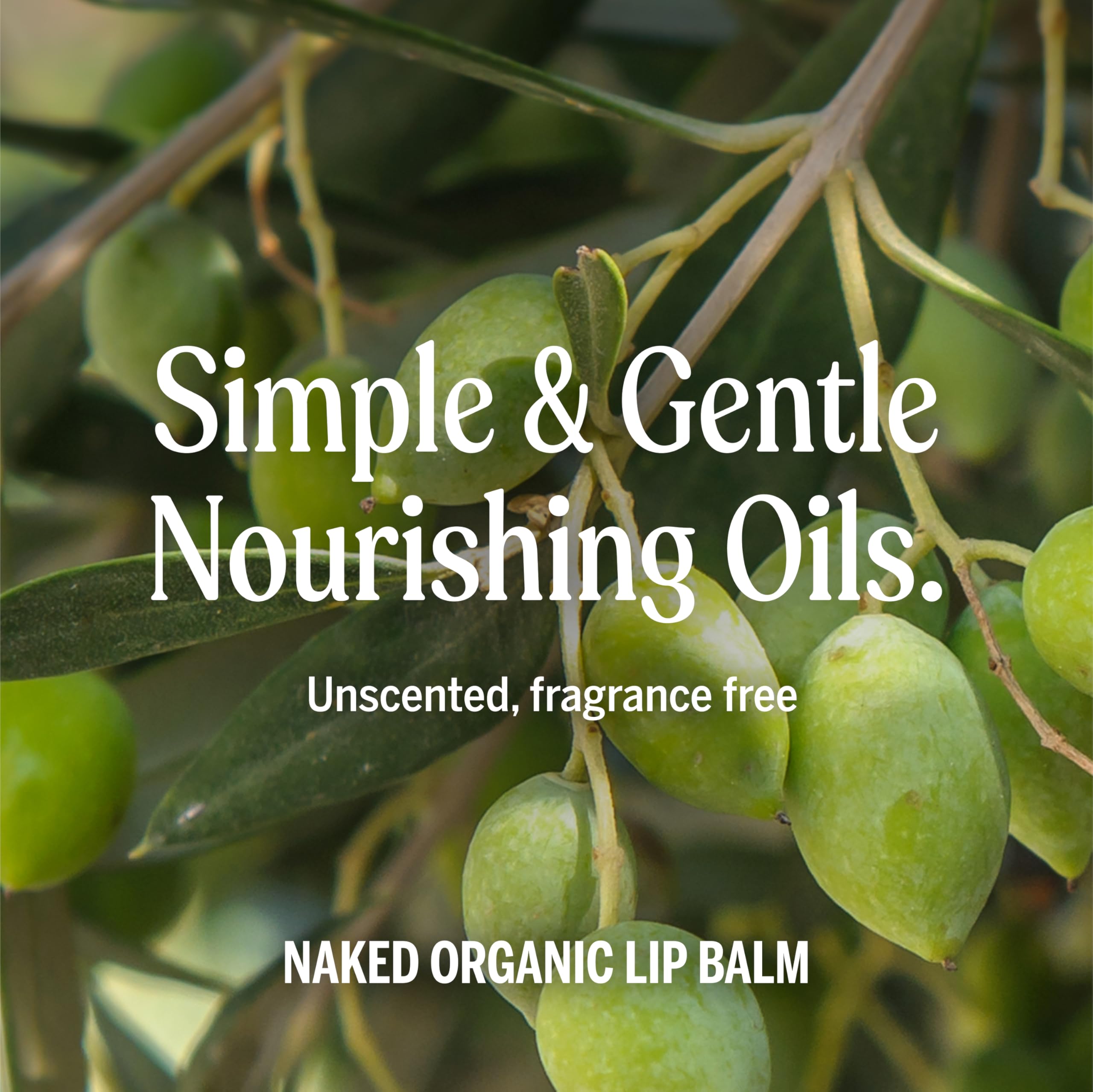 Dr. Bronner's Balsamo Labial Orgánico: ingredientes naturales para labios suaves.