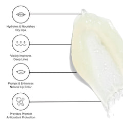 DRMTLGY C Balm con ácido hialurónico suaviza labios