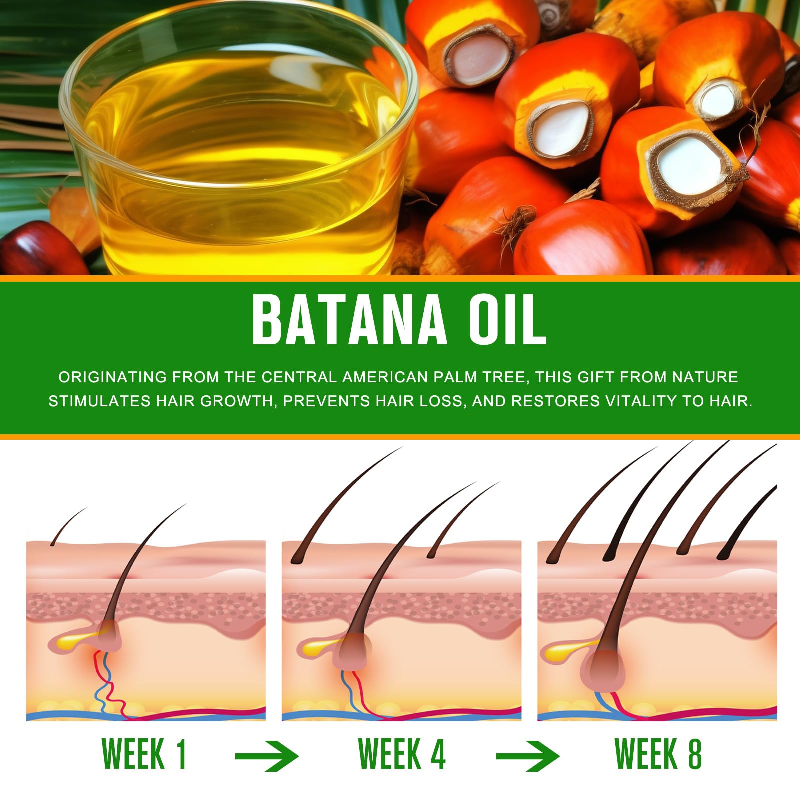 Dvoevivh Batana Oil ofrece textura ligera y absorción rápida para cabello.