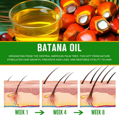 Dvoevivh Batana Oil ofrece textura ligera y absorción rápida para cabello.