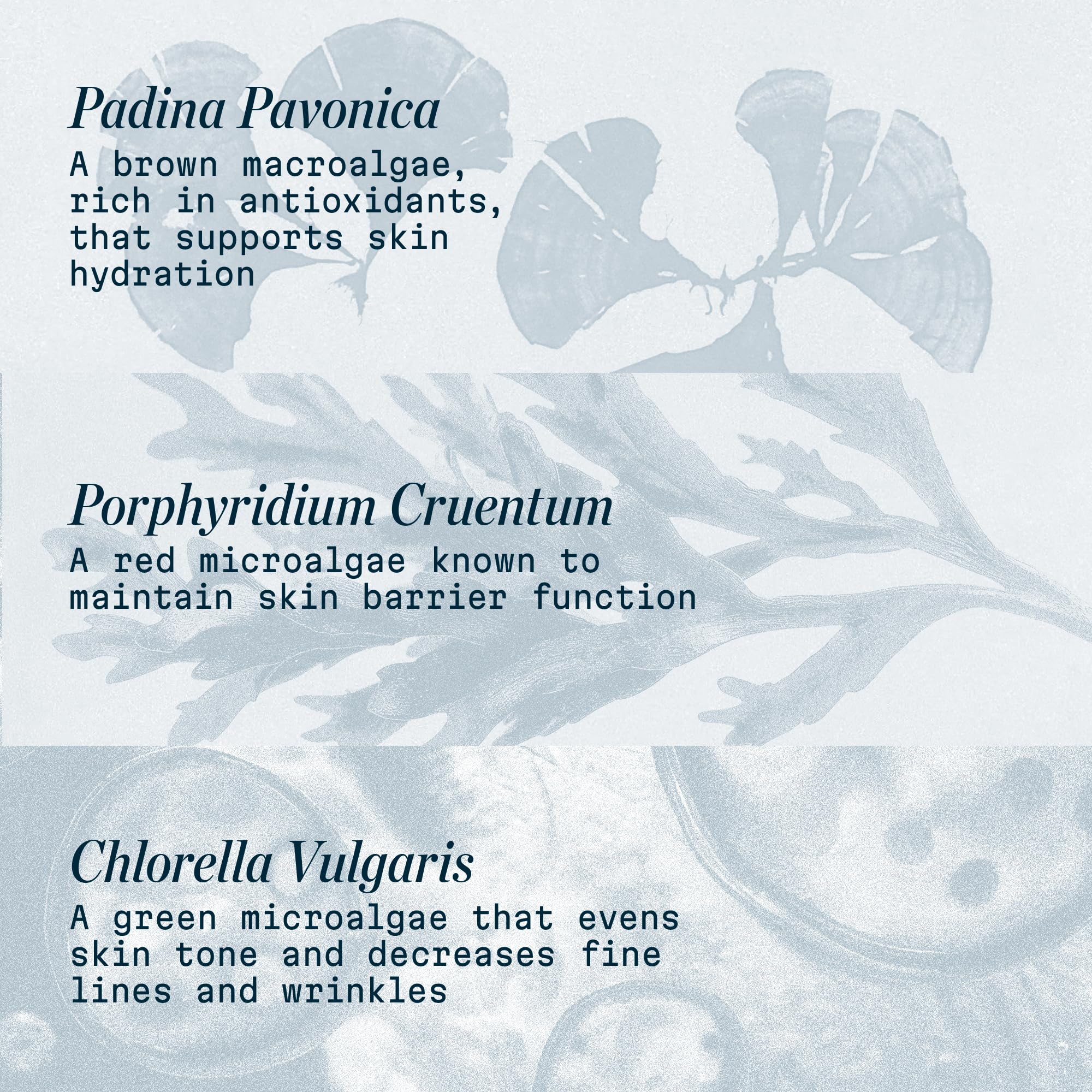 Rutina diaria matutina con crema ligera que se absorbe con facilidad.