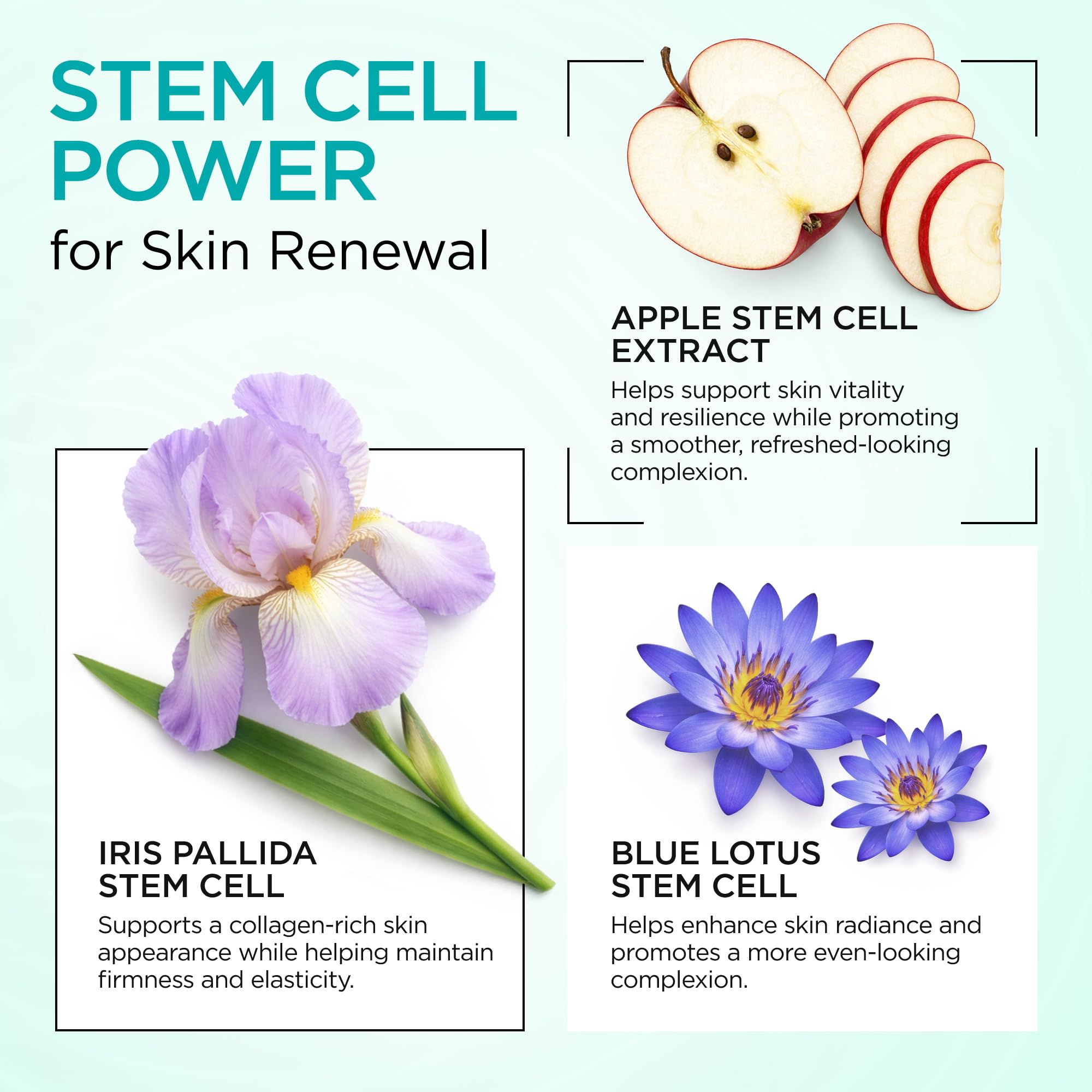 On-skin demonstration of Ember Cloud Collagen NAD+ Cream with a non-greasy finish