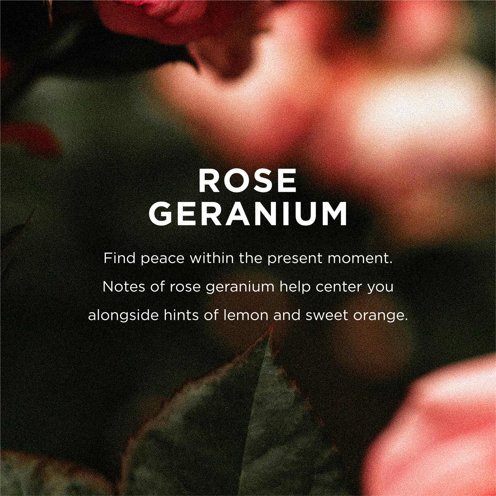 EO Bano Espuma Cremosa Rosa Geranio: textura lujosa para un baño reconfortante