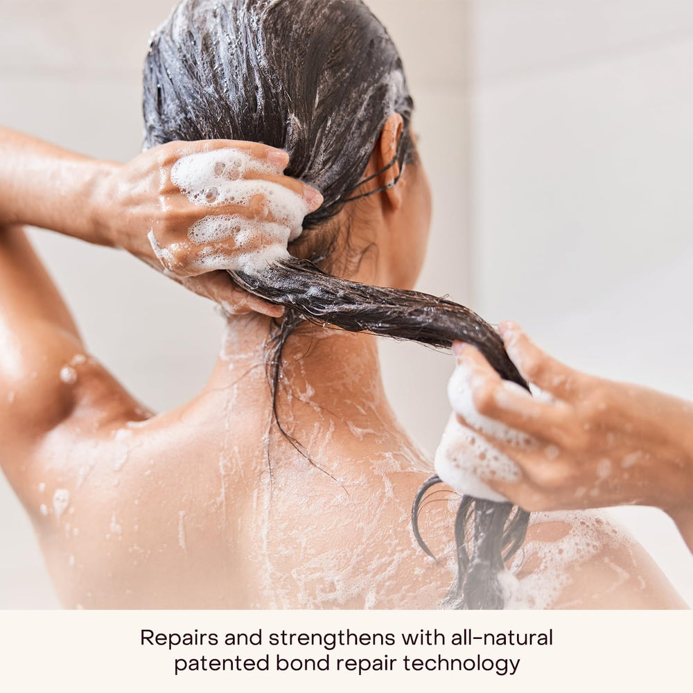 Everist champú concentrado: aplicación en la ducha, crema que se activa con agua.