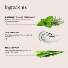 Everist Champú Concentrado con glicerina y aloe para hidratación intensa.