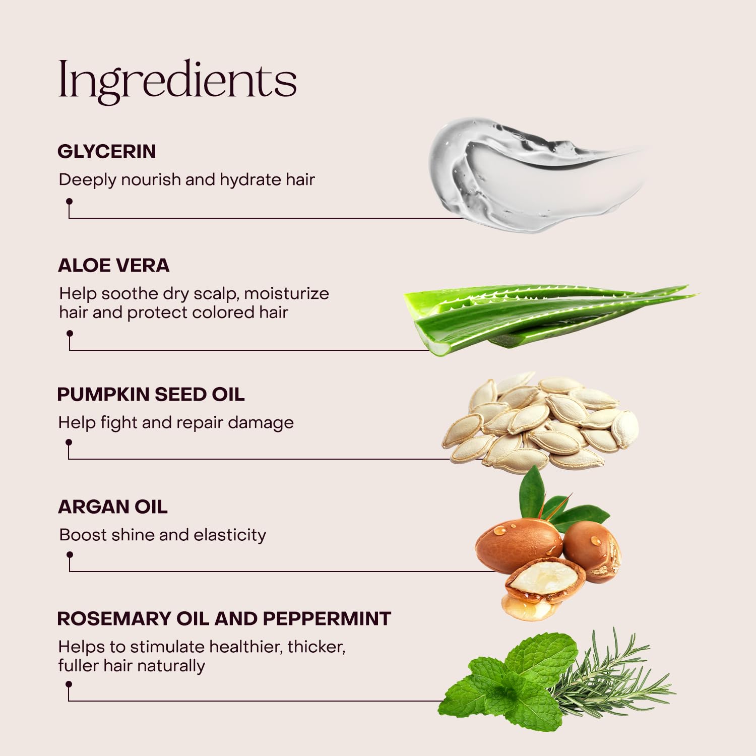 Everist Ingredientes Base Vegetal 100%: fórmula limpia y sostenible