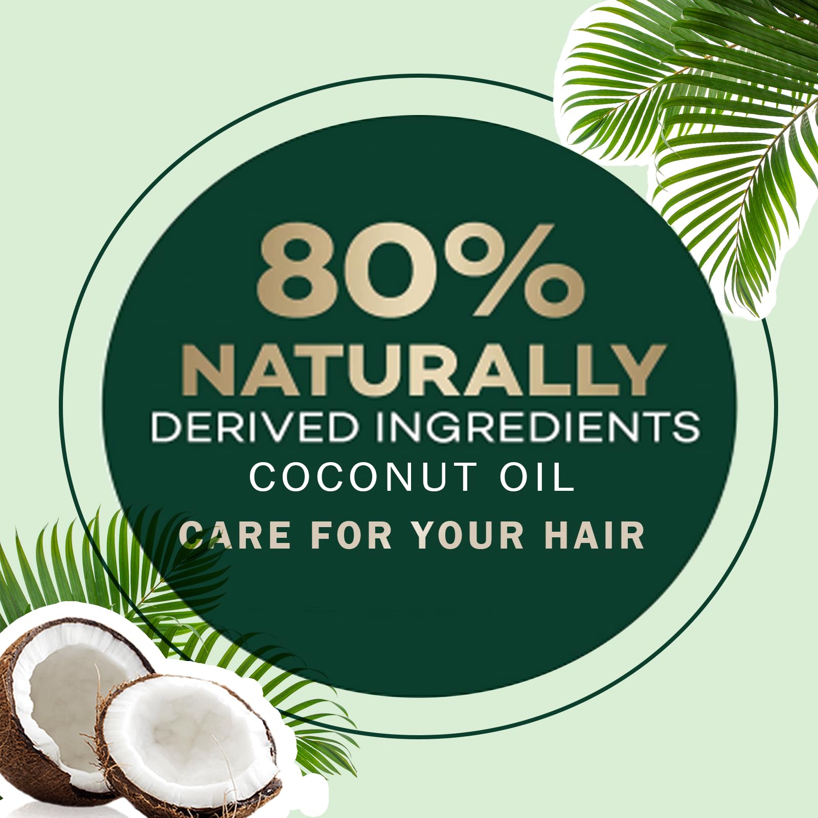 Extracto de nuez aporta suavidad y brillo al cabello FVQUHVO.
