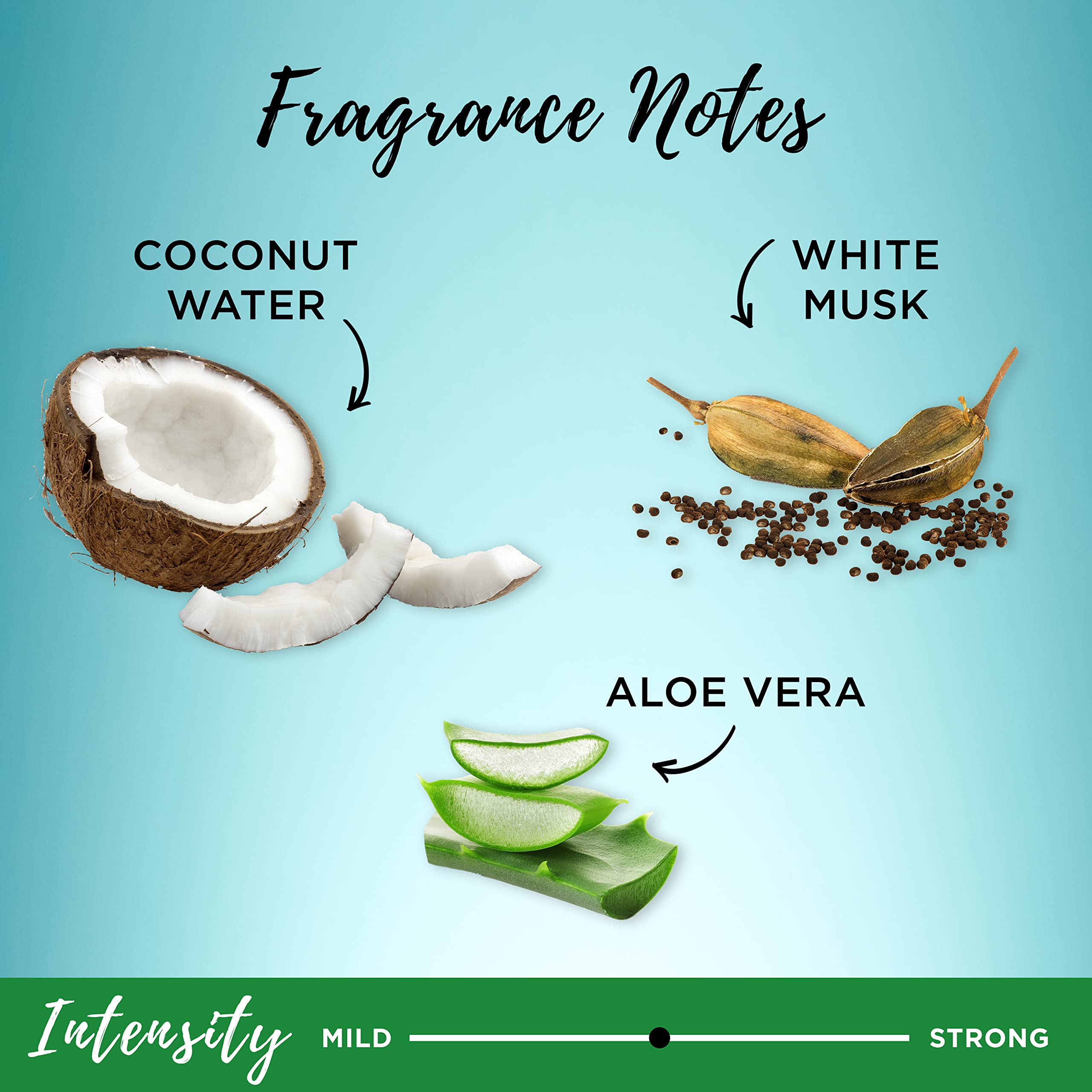 Garnier Whole Blends champú coco agua aloe sin siliconas cuida el cabello