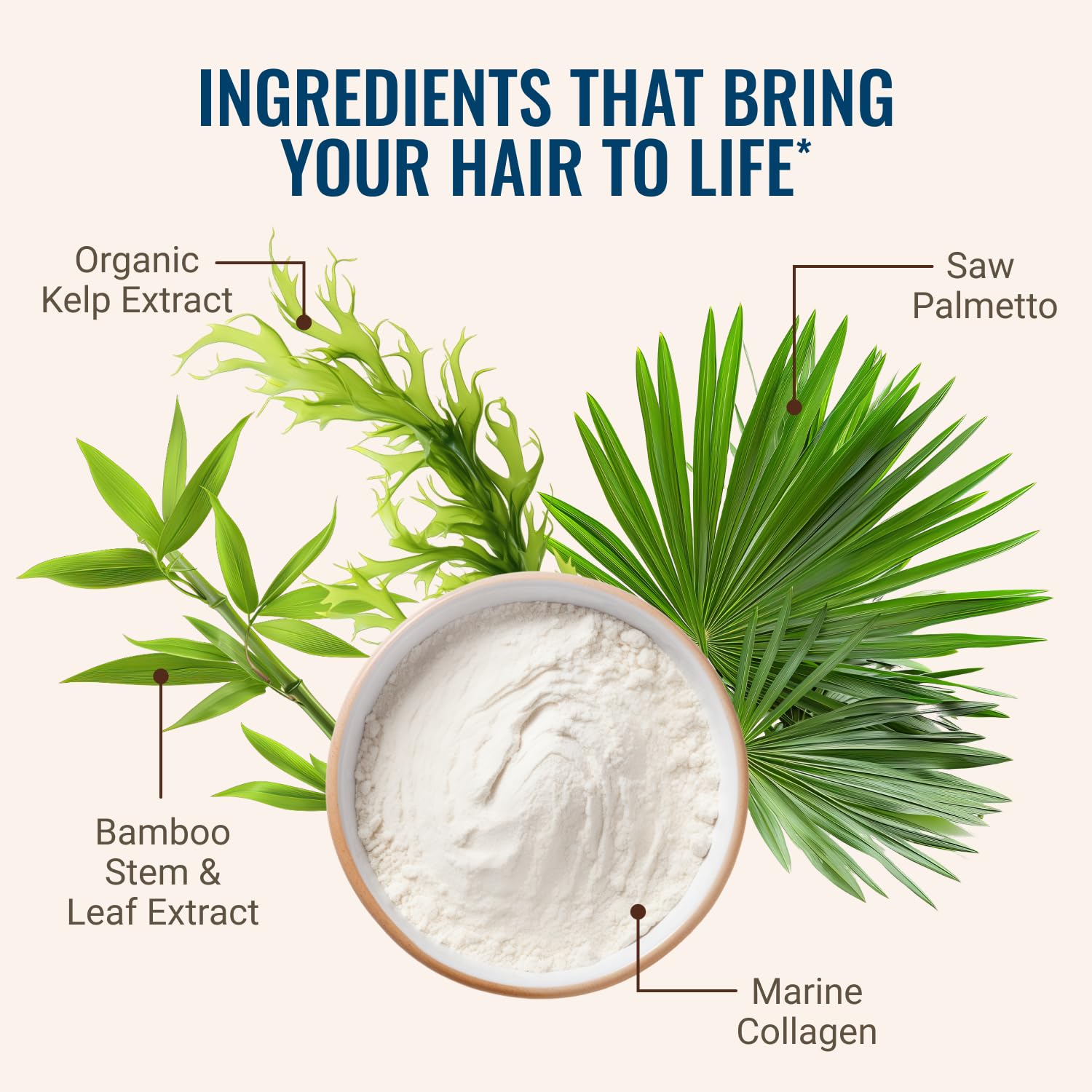 Hair La Vie Revitalizing Blend: textura suave de cápsulas para uso diario