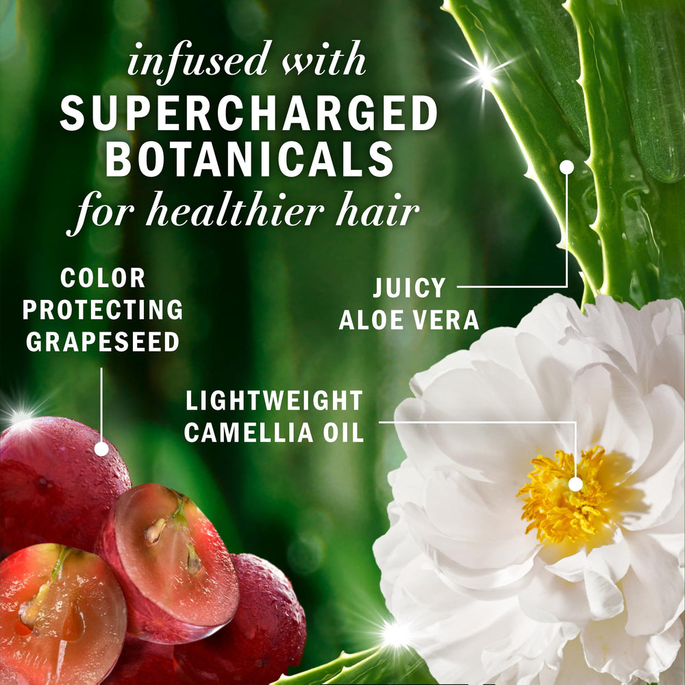Herbal Essences, ingredientes naturales certificados por Kew, cuidado suave para el color.