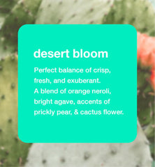 HUME SUPERNATURAL Desert Bloom: espuma suave que facilita el enjuague