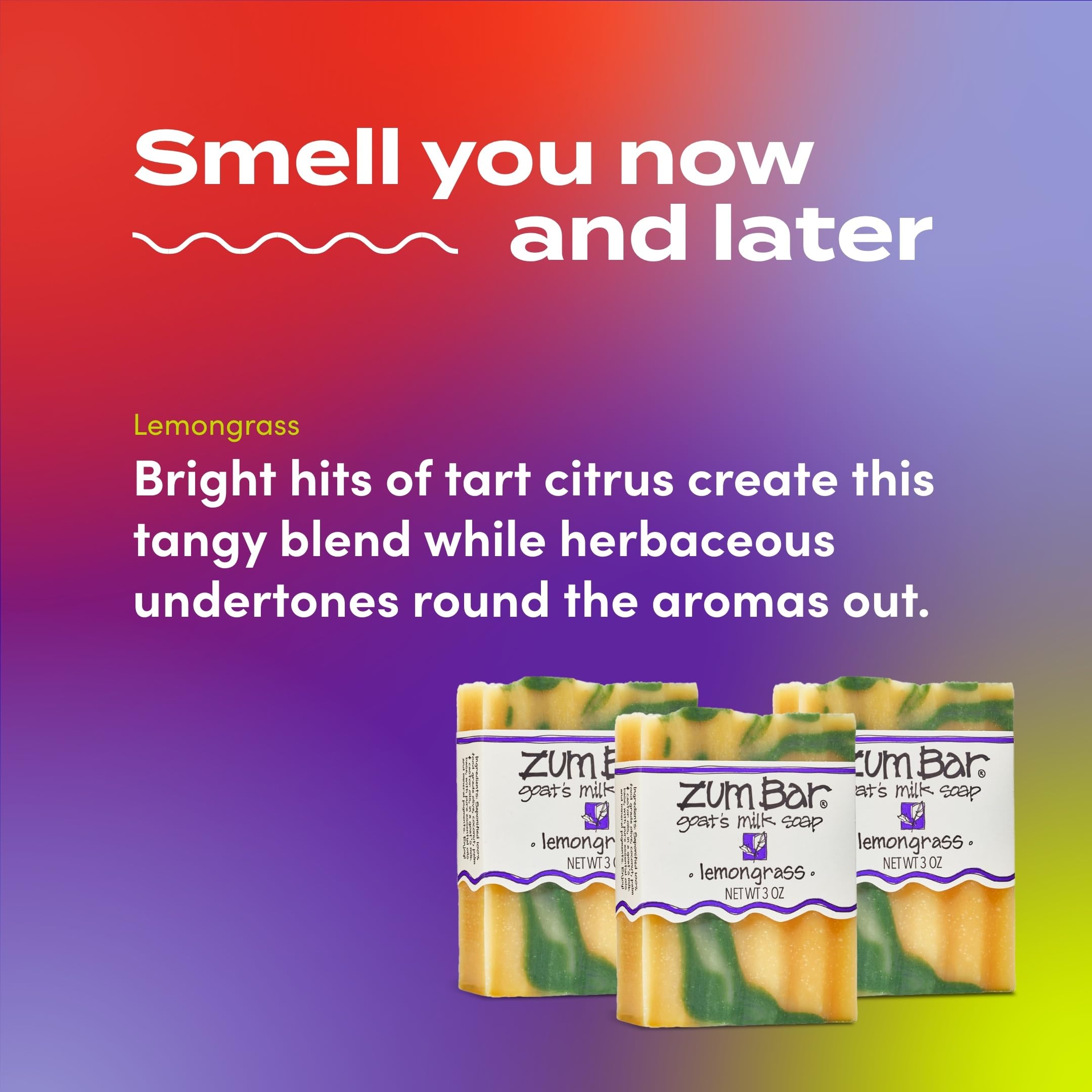 Indigo Wild Zum jabón citronela, espuma suave para manos y cuerpo.