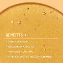 INNERSENSE Champú Orgánico Armonía Natural – mejora el volumen ligero sin pesadez.