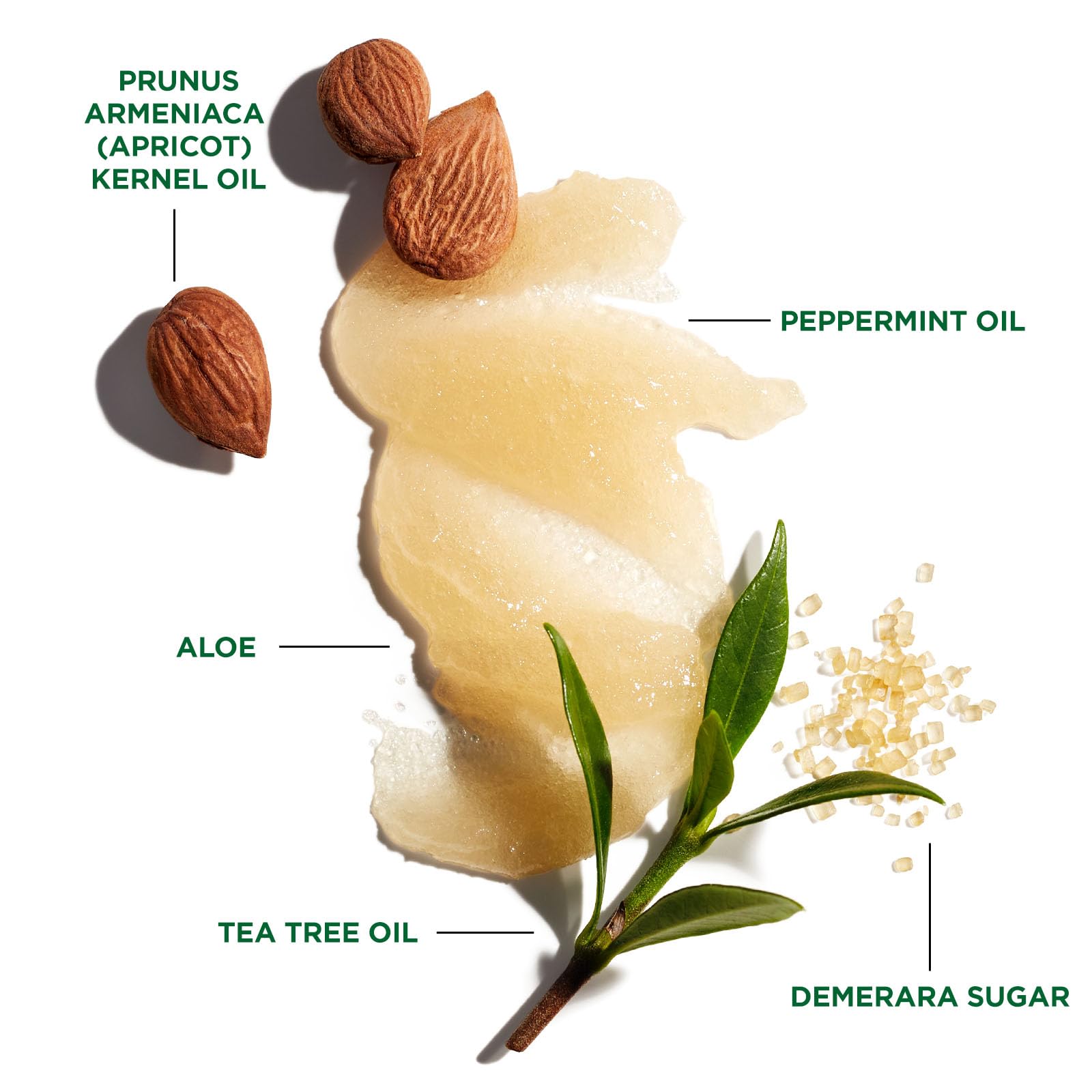 Aceite de árbol de té refresca y calma la piel cabelluda.