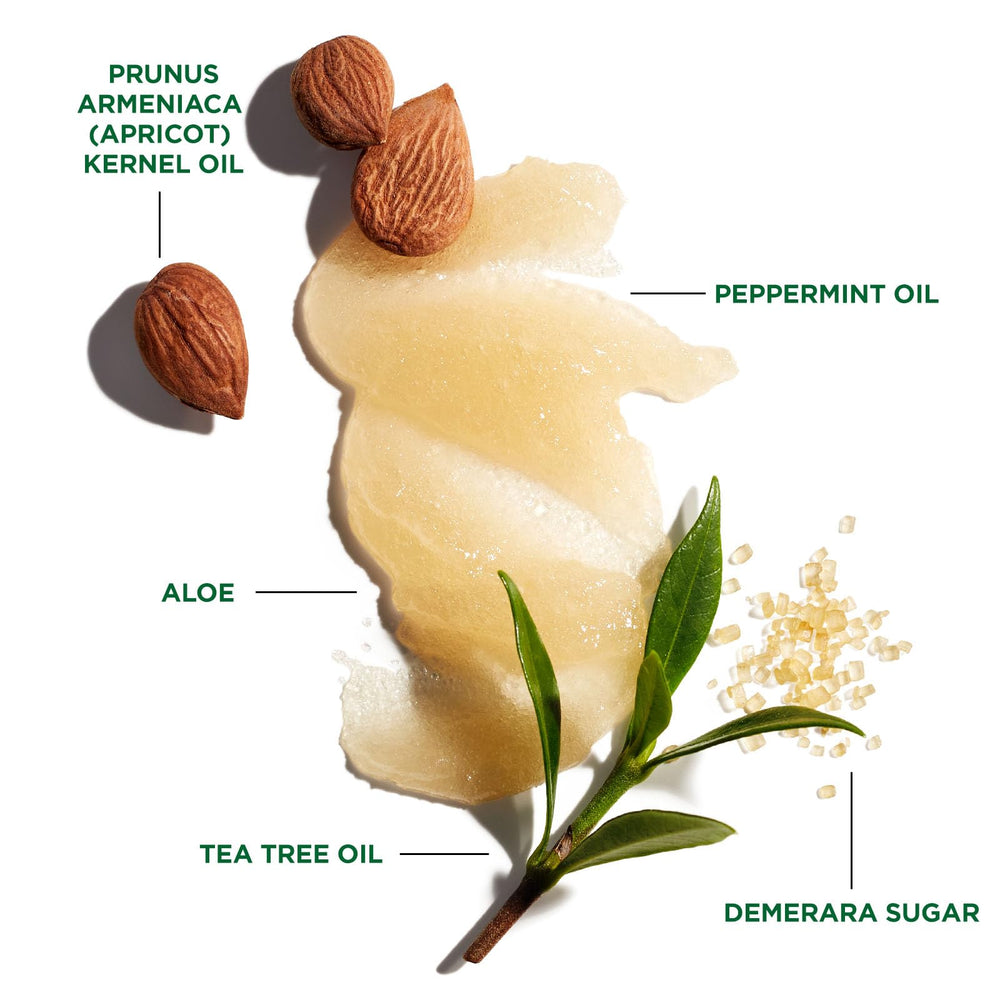 Aceite de árbol de té refresca y calma la piel cabelluda.