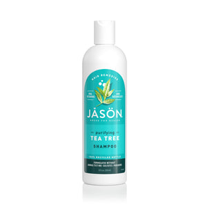Jason Champú Árbol de Té, botella 12 onzas, limpieza suave del cuero cabelludo