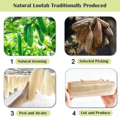 Jopplim Exfoliante corporal con lufa natural para piel suave y limpia.