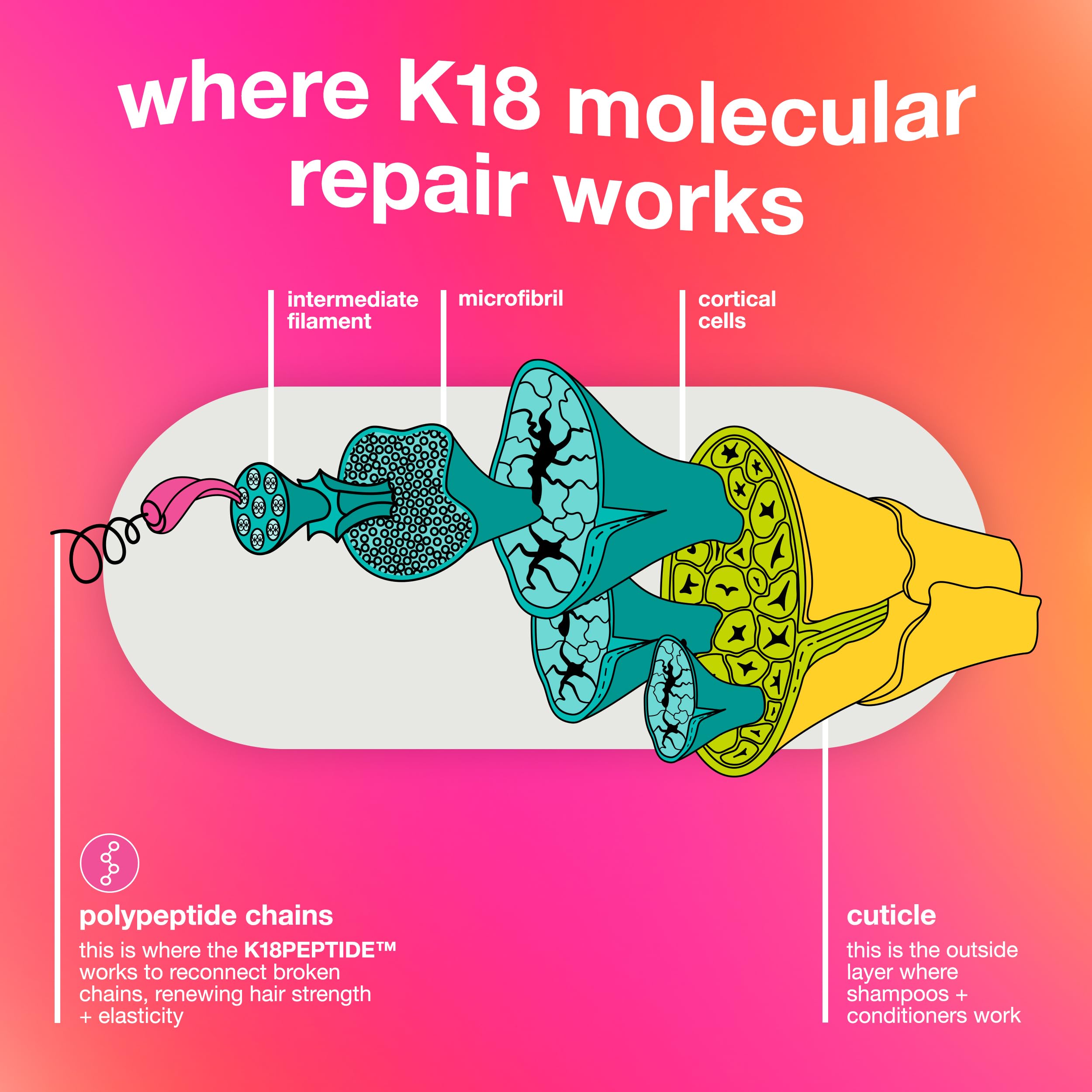 K18 keratina reconstruye cabello; brillo natural.