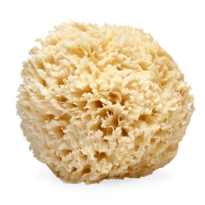 Esponja natural de lana marina de LATHER para exfoliar suavemente y lavar la piel.