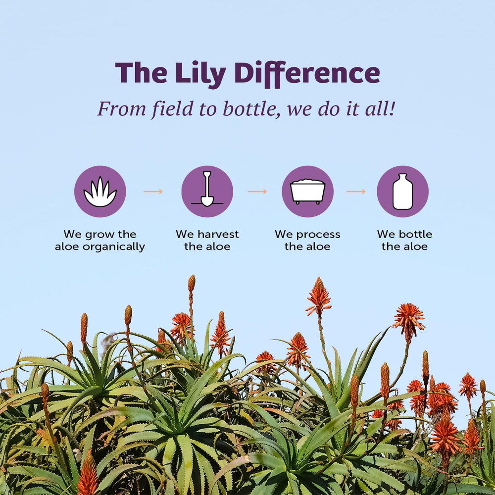 Lily Of The Desert Gelly Moisturizer, empaque seguro y sello de calidad