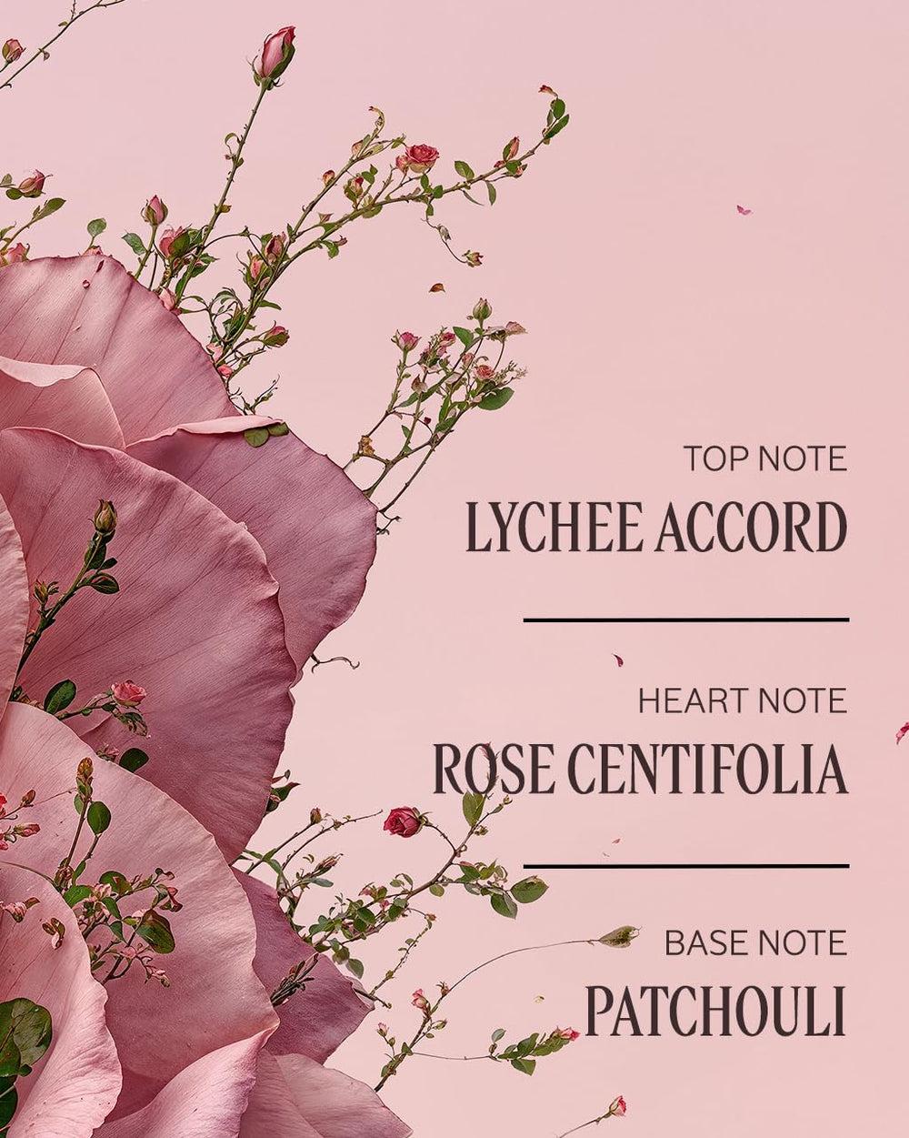 L'Occitane Rose fragancia suave y discreta para uso diario.