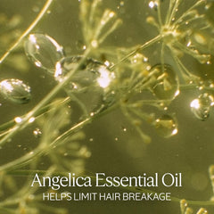 L'Occitane Shampoo Reparación Intensa, cabello dañado con puntas reparadas.