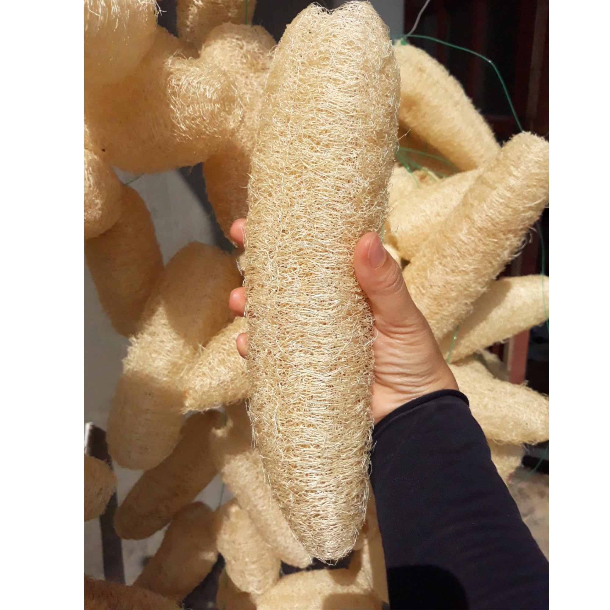 LUFAFY esponja natural para baño con exfoliación suave.