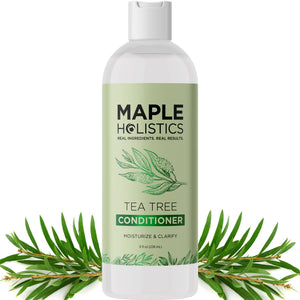 Maple Holistics Acondicionador árbol de té vertiendo en la botella para hidratación.