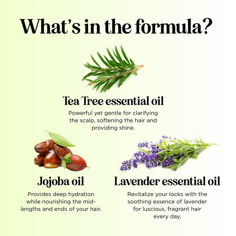 Maple Holistics Acondicionador Árbol de Té, ingredientes naturales romero.