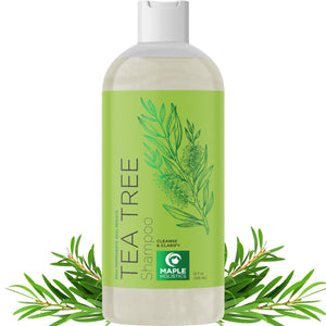 Maple Holistics - botella de champú clarificante para limpieza profunda del cuero cabelludo.