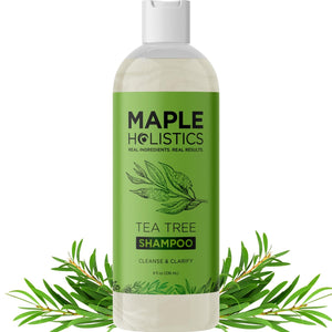Maple Holistics champú clarificante arbol-de-te en botella para cuero cabelludo limpio