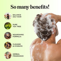 Maple Holistics set champú y acondicionador árbol de té para cuero cabelludo equilibrado