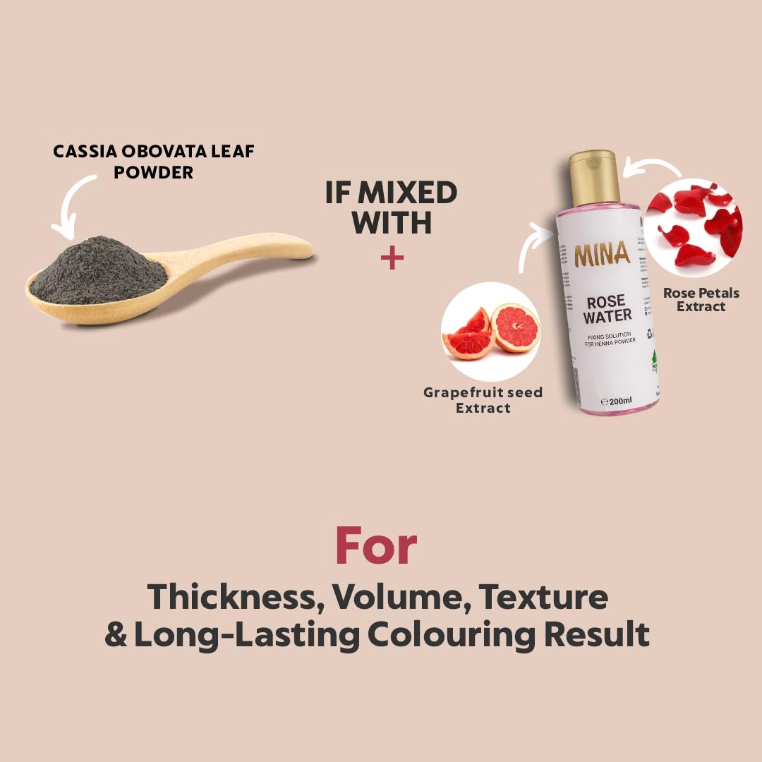 MINA iBrow Henna cobre-marrón cubre canas con efecto natural.