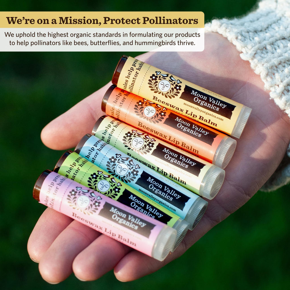 Moon Valley Organics Balsamo labios Miel Dulce, paquete de 6 barras para uso diario.