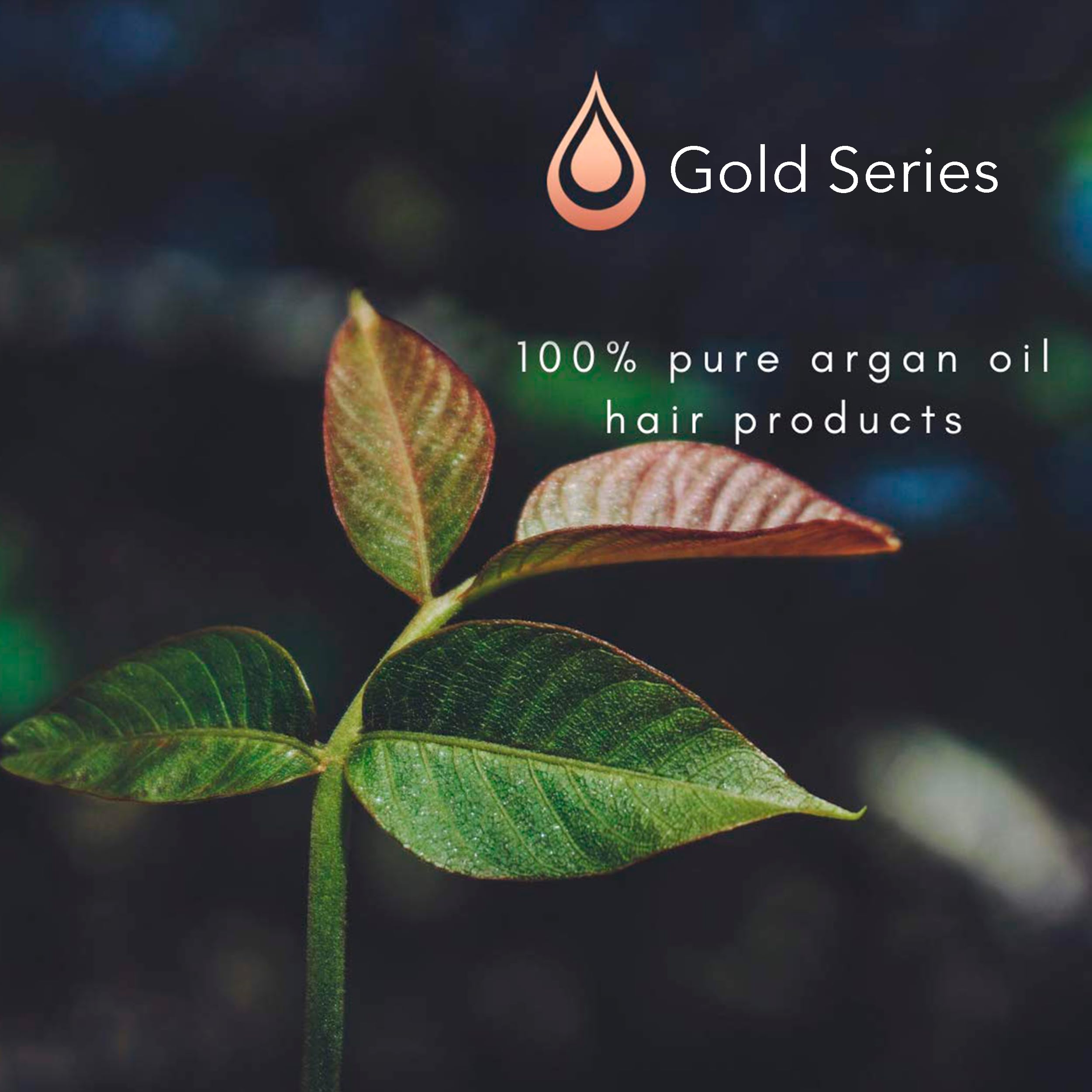 Deja actuar Moroccan Gold Series 5-10 minutos para un acondicionamiento profundo.