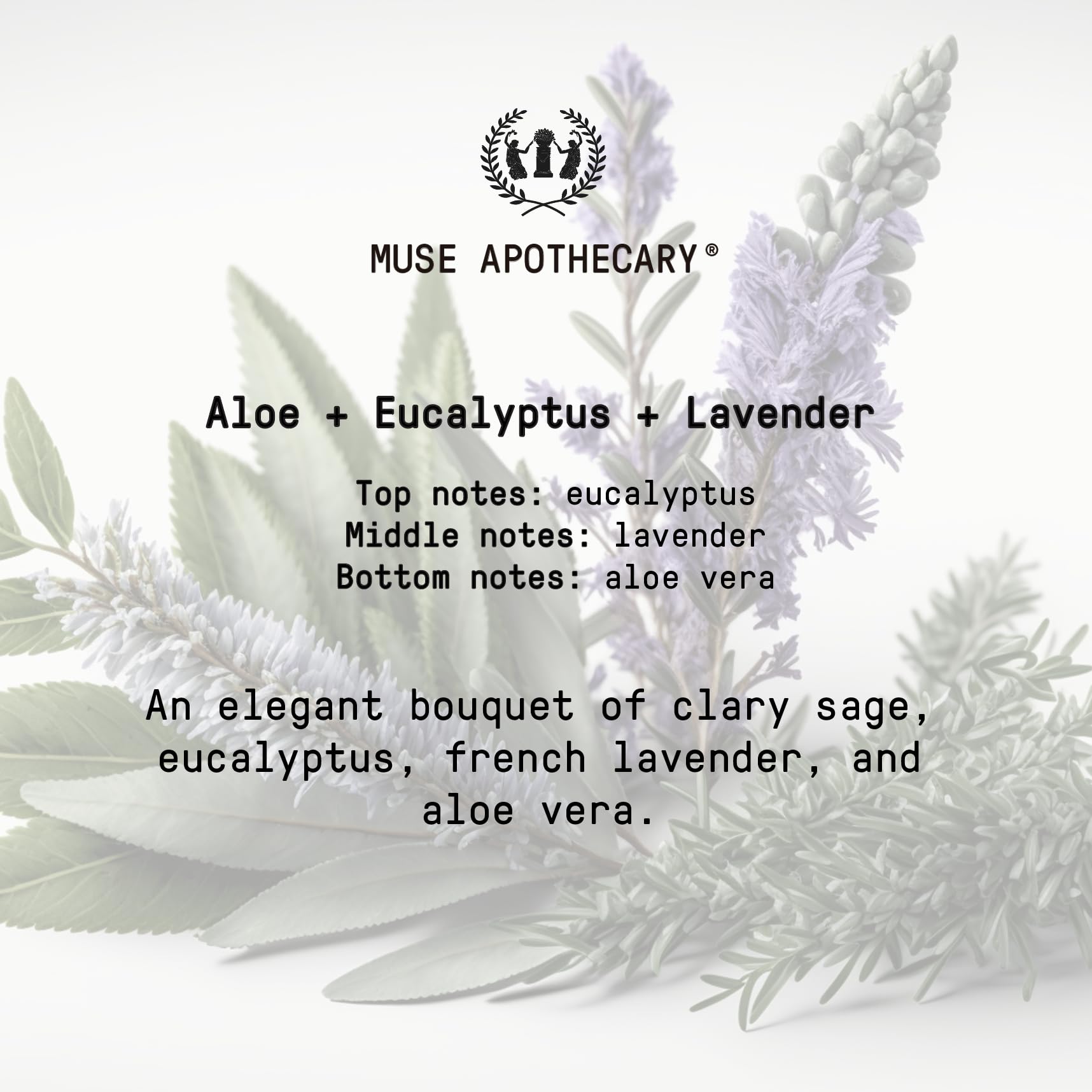 Muse Apothecary Ritual de Manos - regalo ideal para cuidado diario
