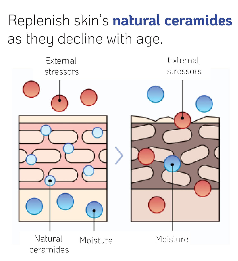 Nano Recipe Ceramida Concentrado: textura ligera que facilita absorción y uso diario.
