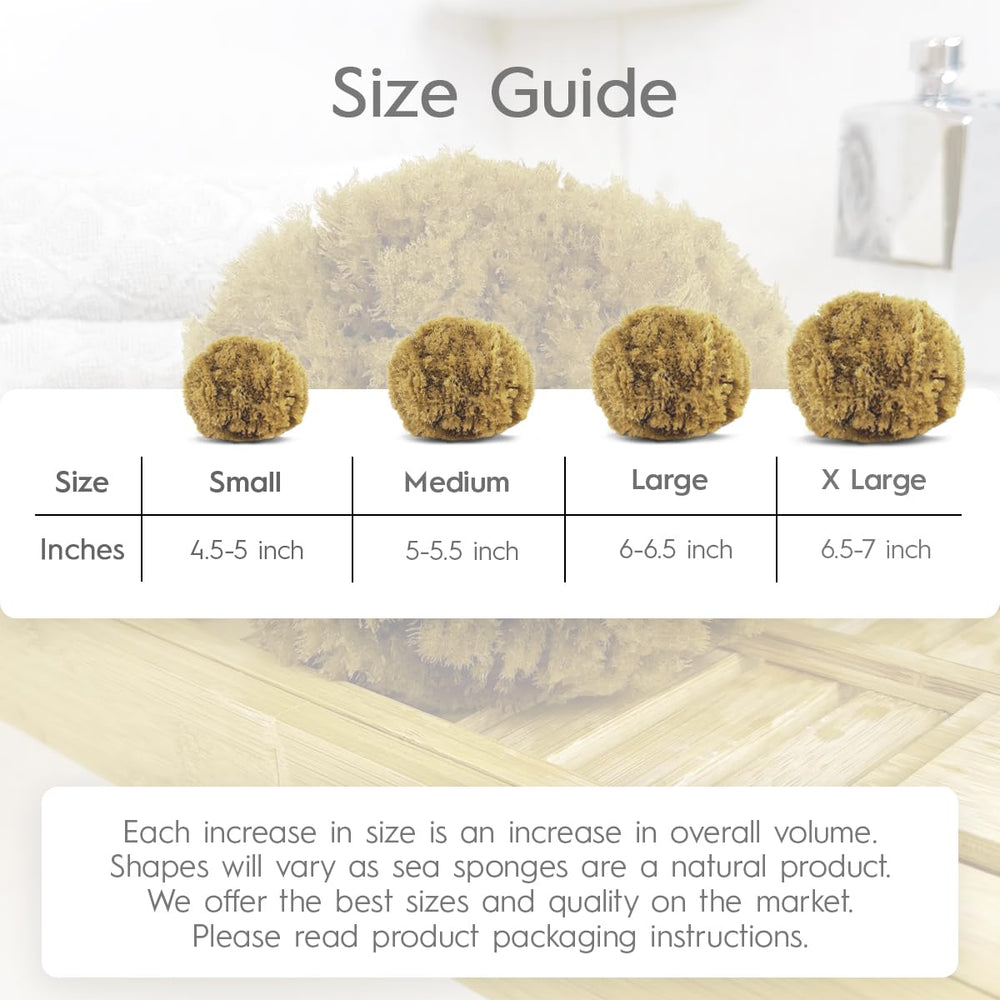 Esponja duradera e higiénica que favorece la absorción de tus productos de cuidado.
