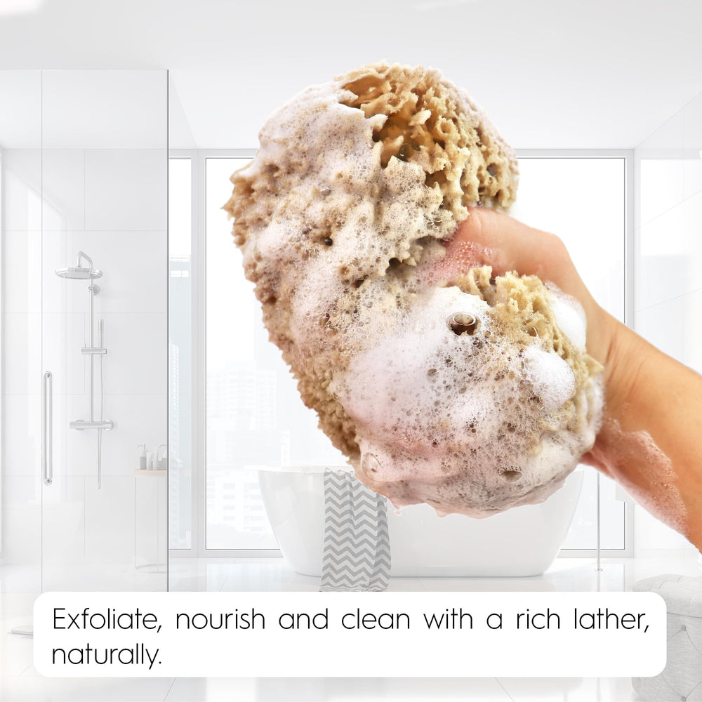 Esponja natural sin plástico, opción sostenible para tu rutina de baño.