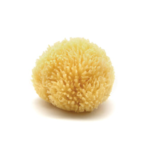 Esponja Neptune Caribe mar, corte manual, exfolia suavemente la piel.