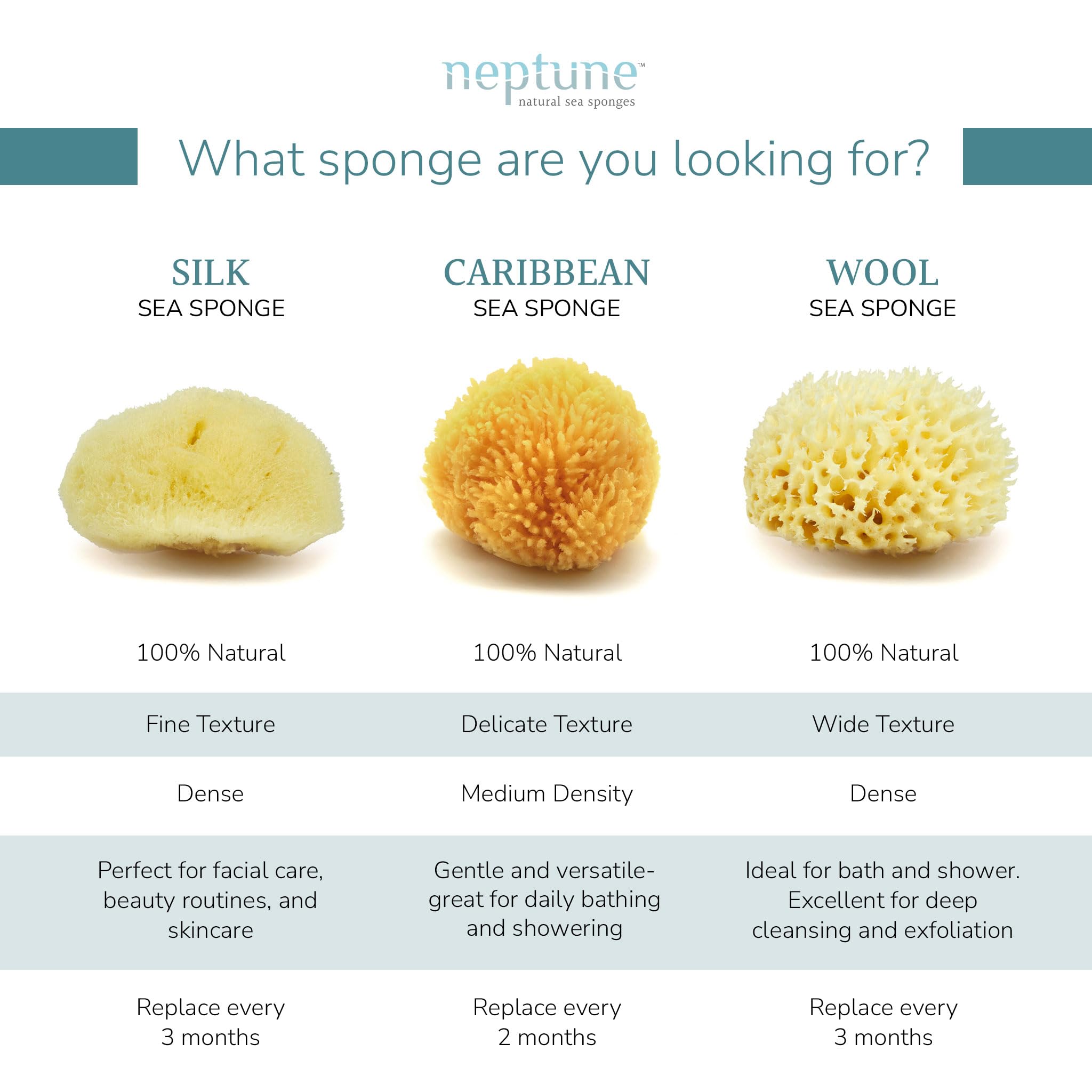Esponja Neptune Caribe mar, suave, apta para piel sensible.