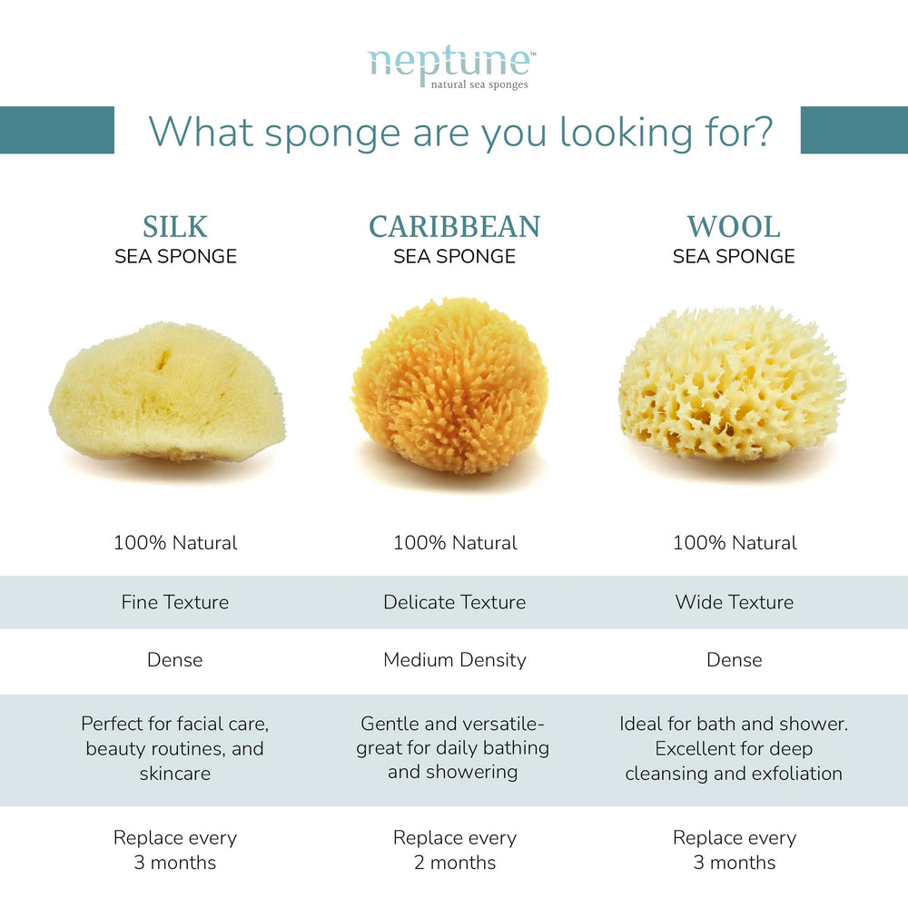 Esponja Neptune Caribe mar, suave, apta para piel sensible.