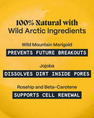 Bálsamo Norse Organics Aplicación Manual, fácil de aplicar con la palma de la mano.