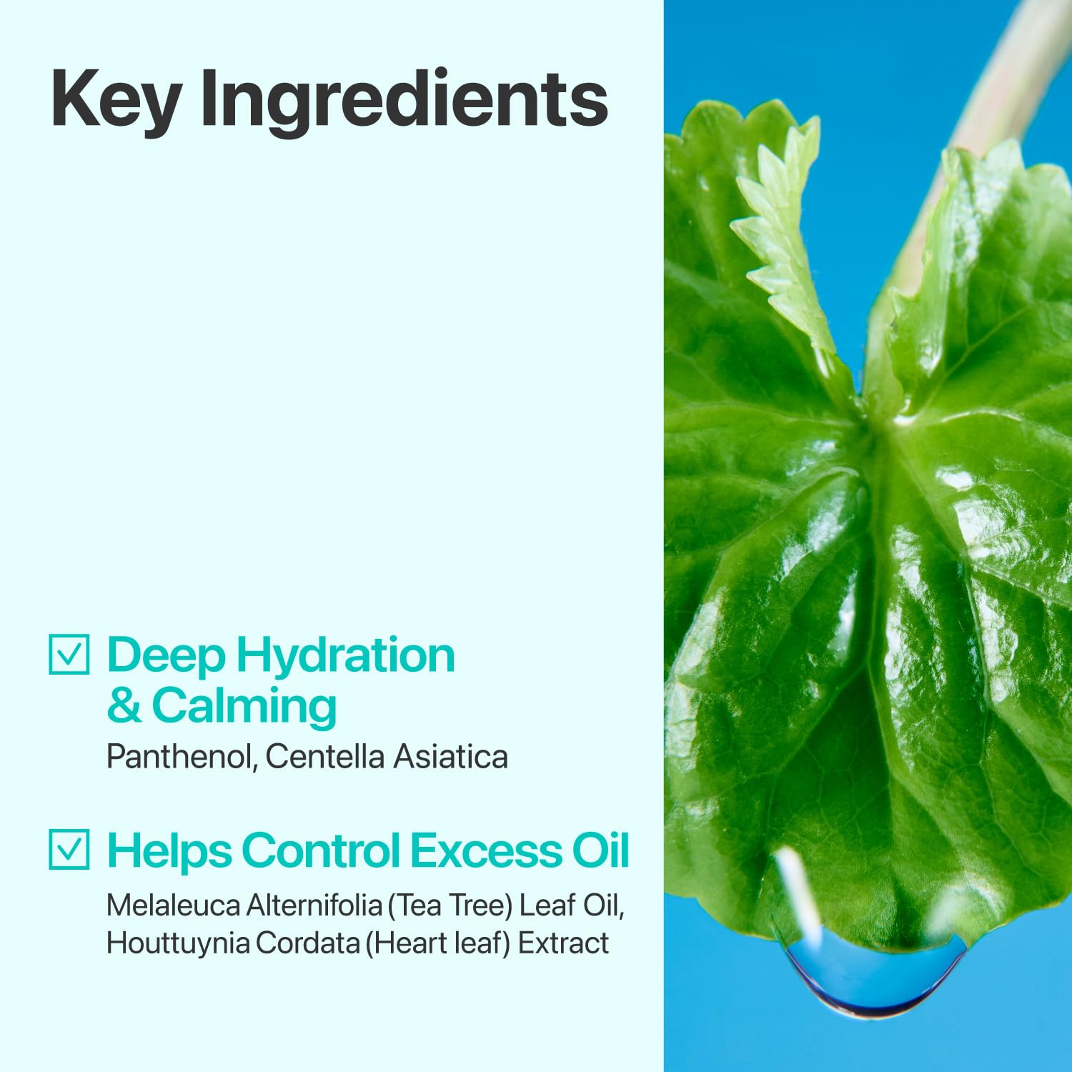 Extractos clave de Centella Asiática, Heartleaf y regaliz aportan efecto calmante.