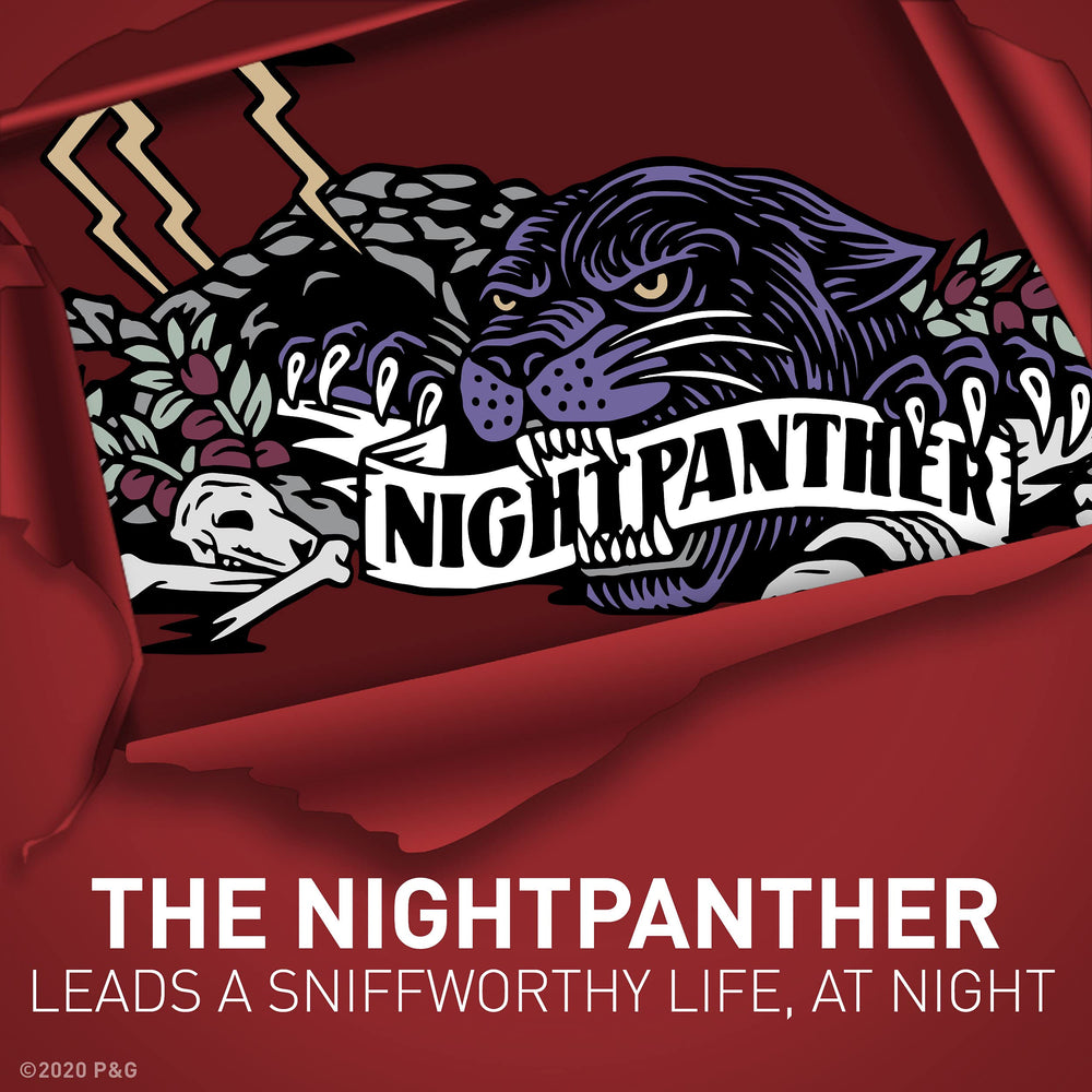 Old Spice NightPanther: perfecto para el uso diario en el trabajo.